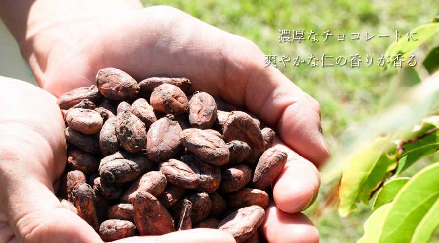 濃厚なチョコと爽やかな仁の香り