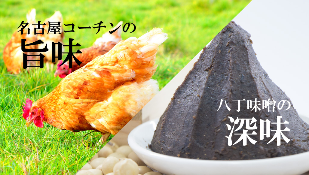名古屋コーチンと八丁味噌を使用した